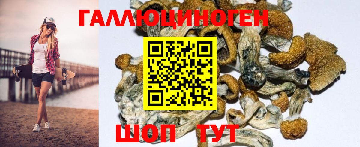 Галлюциногенные грибы Psilocybe  что такое   Вход с VPN  Кирово-Чепецк  Галлюциногенные грибы мицелий 